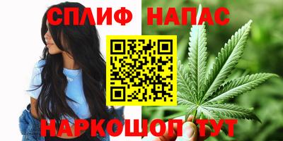 гидра Партизанск