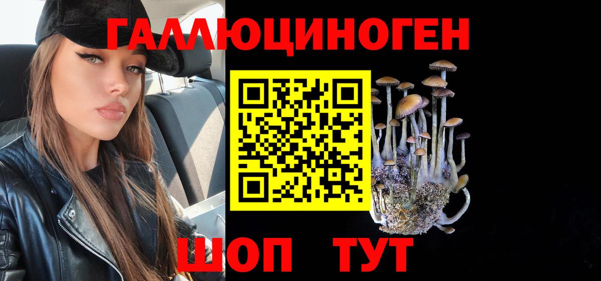 Пугачёв  Галлюциногенные грибы Magic Shrooms  где можно купить наркотик  Галлюциногенные грибы Psilocybe  Вход с VPN 